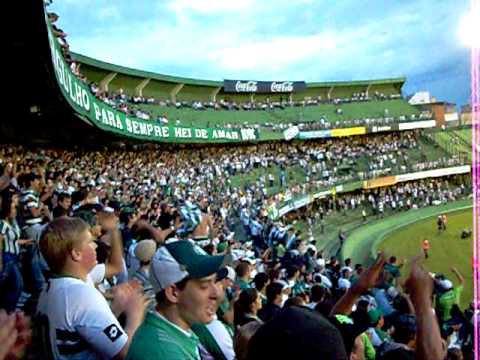 Comemoração do 2º Gol - Coritiba 3 x 1 Paranavaí