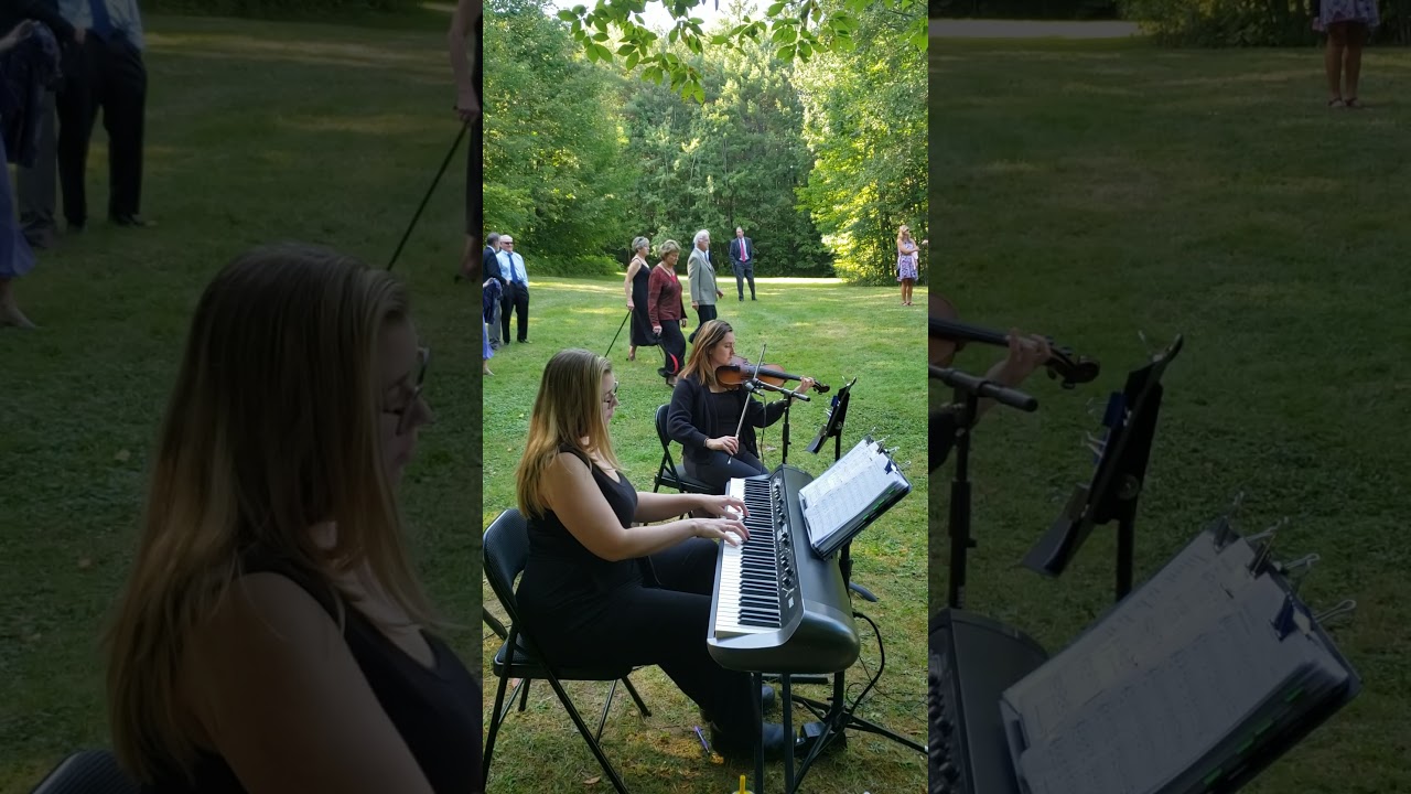 Promotional video thumbnail 5 for Lindsay Waller Music
