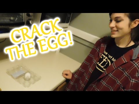 Crack the Egg! | Day 295 (21/10/16)