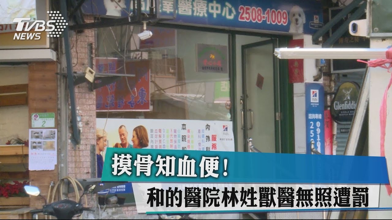摸骨知血便！　和的醫院林姓獸醫無照遭罰