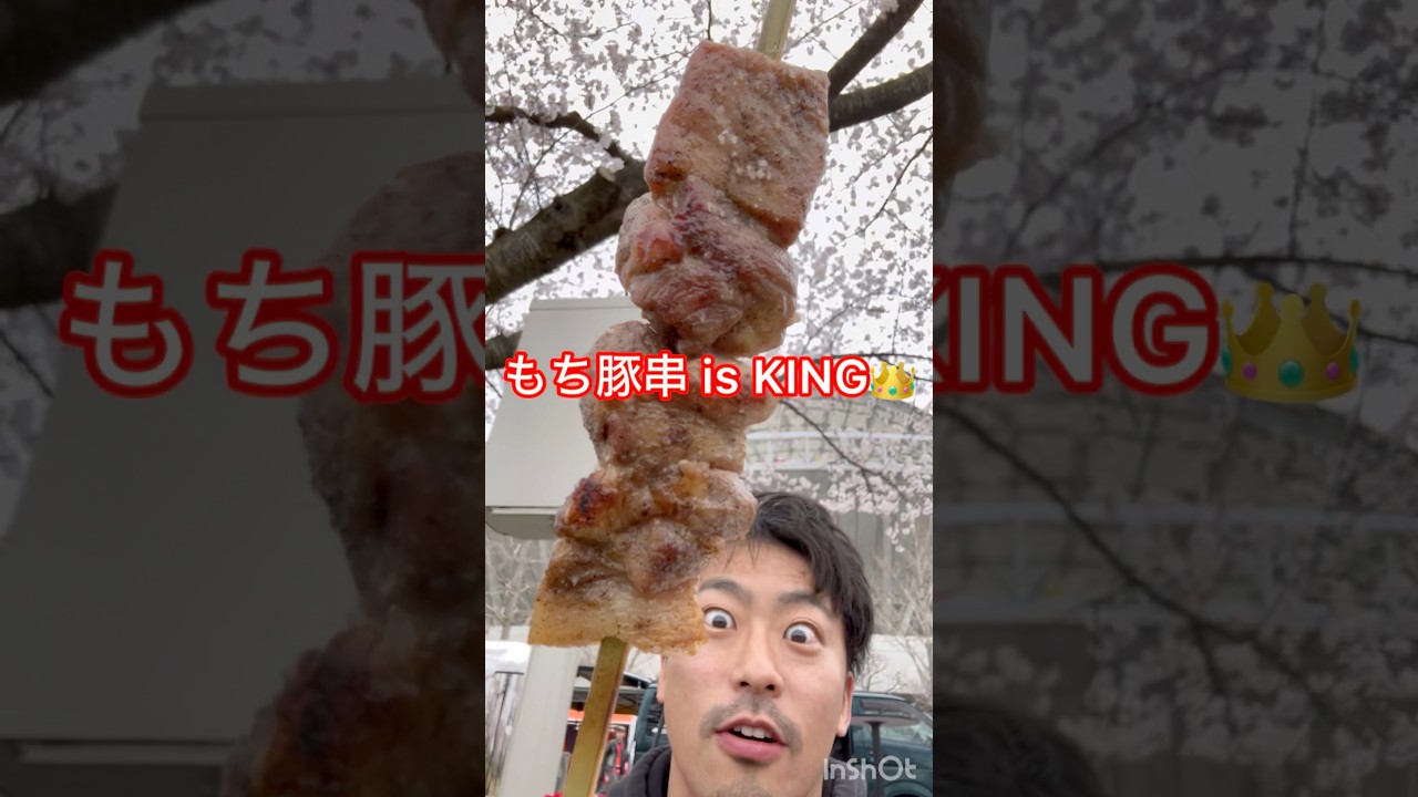 【アウェー新潟】ツエーゲン金沢ゴール裏サポとしてビッグスワン見参！ 桜、スタグル、アルビ犬。楽しすぎました！#jleague #zweigen #albirex