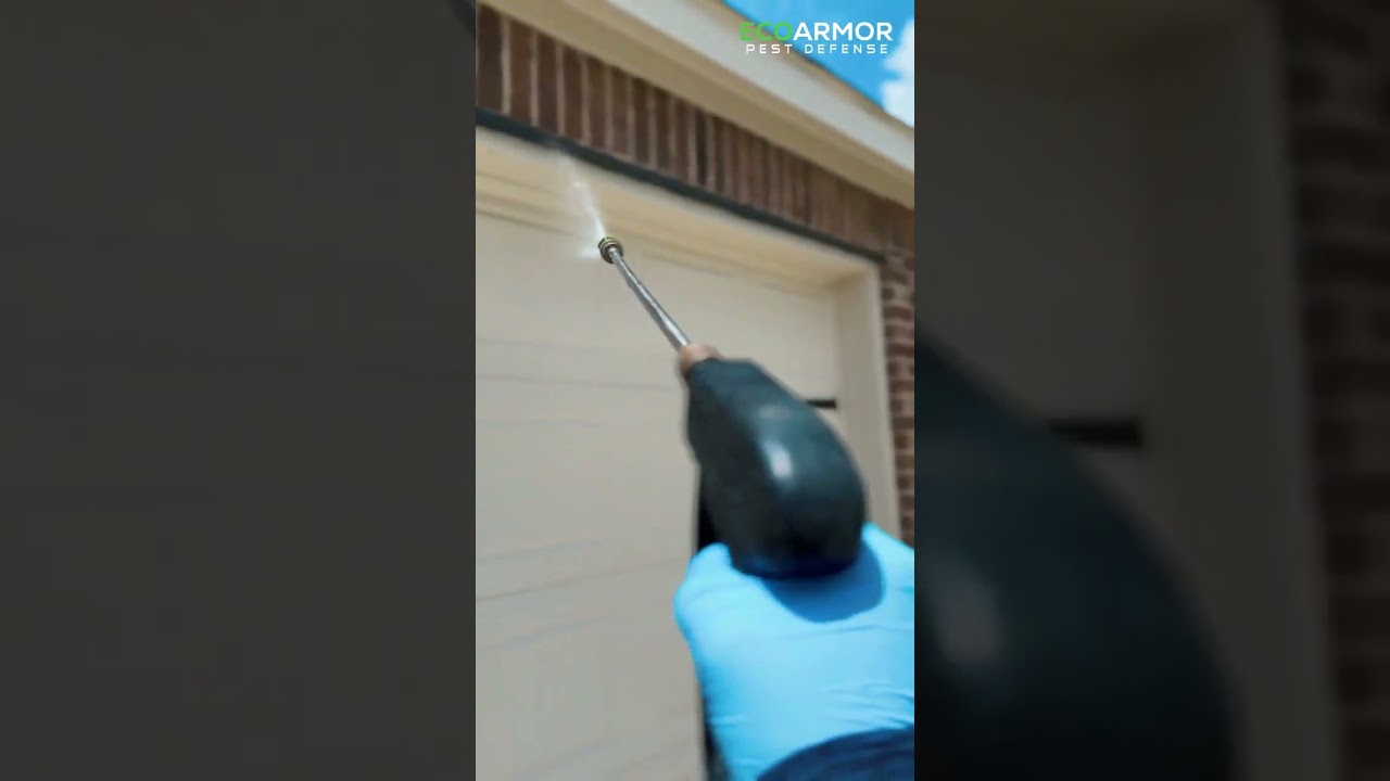 What's it like to be a pest control technician