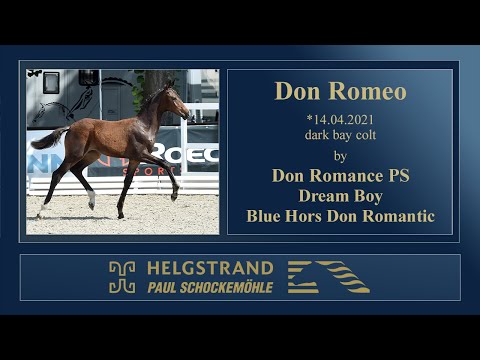 5 Don Romeo by Don Romance PS - Dream Boy - Don Romantic