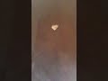 Wow Me Encontré Un Pedazito De Sal E Forma De Corazón