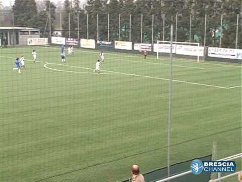 sintesi brescia montale