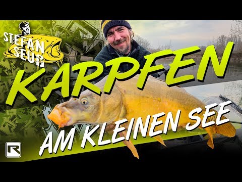 Carp fishing at a small lake | It's so easy to find and catch fish | Carp fishing