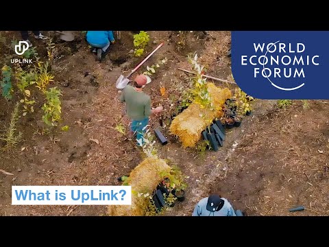 Introducing UpLink | UpLink