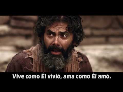 Carlos Báez - Amar como Él