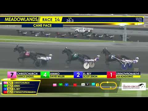 August 5, 2023 - Cane Pace - Race 14