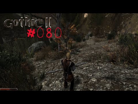 Let's Play Gothic 2: DNdR - Folge 080: Das verwilderte Minental