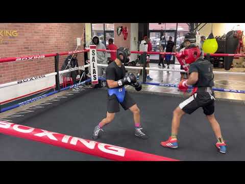 16 year old King Robert Meriwether lll sparring pro boxer