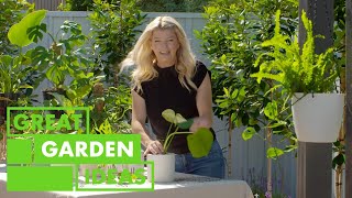 Essential Potting Tips | GARDEN | Great Home Ideas