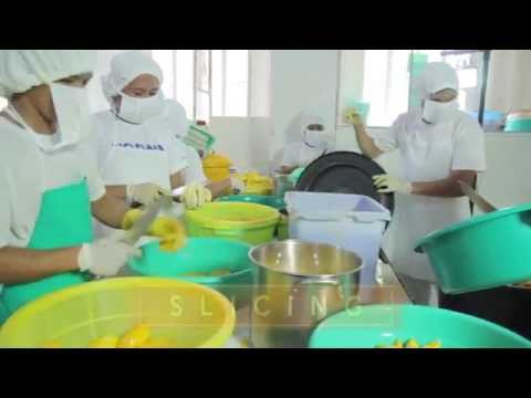 Fair Trade Cebu - Processing of Dried Mango