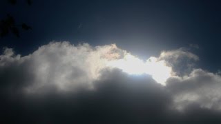 trippin the light fantastic   reloaded