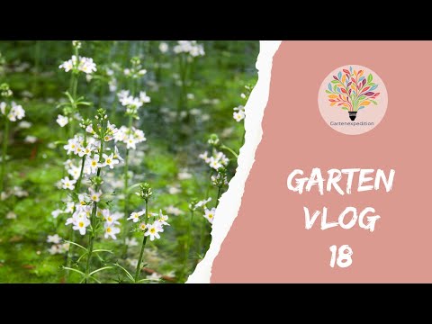 Naturgarten-Logistik: Schneckenschutz, Wasserpflanzen & Substrat-Optimierung