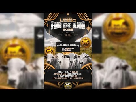 LEILÃO ESPECIAL FIM DE ANO FORMOSO LEILÕES - FORMOSO - GO - 18/12/2025