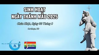 BT - Bản tin Ngày Thánh Mẫu. Chúa Nhật, 3/8/2025