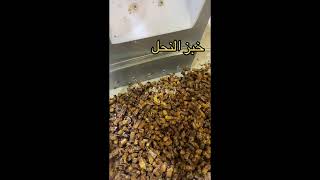 آله استخراج خبز النحل