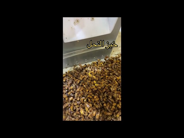 آله استخراج خبز النحل