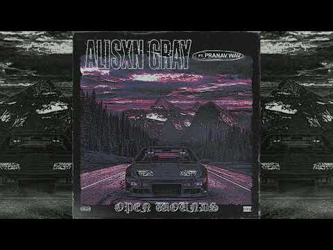 Alisxn Gray - Open Wounds ft. Pranav.wav
