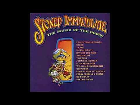 The Doors The Cosmic Movie