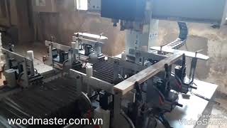 MÁY MỘNG ÂM 2 ĐẦU WOODMASTER CHẠY ROUTER