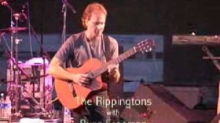 Rippingtons.wmv