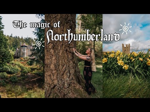 Castle Ruins, Enchanted Forests & Anglo Saxon Halls | Northumberland's Beauty