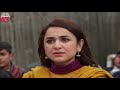 Parizad Last Episode Best Scenes