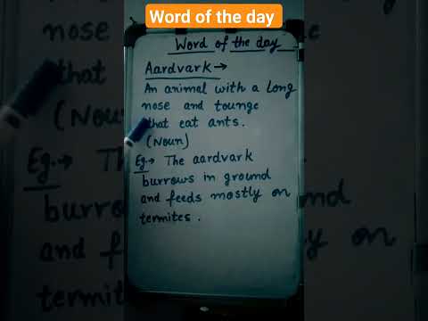 Aardvark - Meaning and example