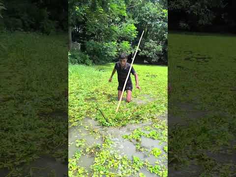#reels #foryou #fishing #trending #vairalvideo