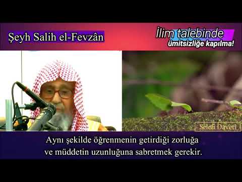 Şeyh Salih el-Fevzân / Bir karınca misali; ilim talebinde ümitsizliğe kapılma!