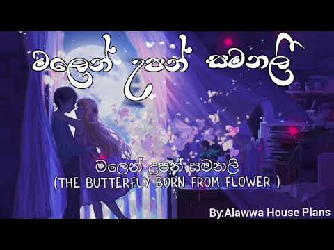 Malen Upan Samanali Lyrics - Raween Kanishka & Nuwandhika Senarathne - Dewani Inima - Butterfly Love