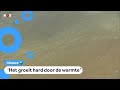Op steeds meer plekken niet zwemmen door blauwalg