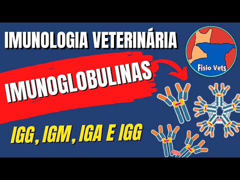 Imunoglobulinas (anticorpos) igG igM igA e igE - Estrutura e Função - Imunologia veterinária