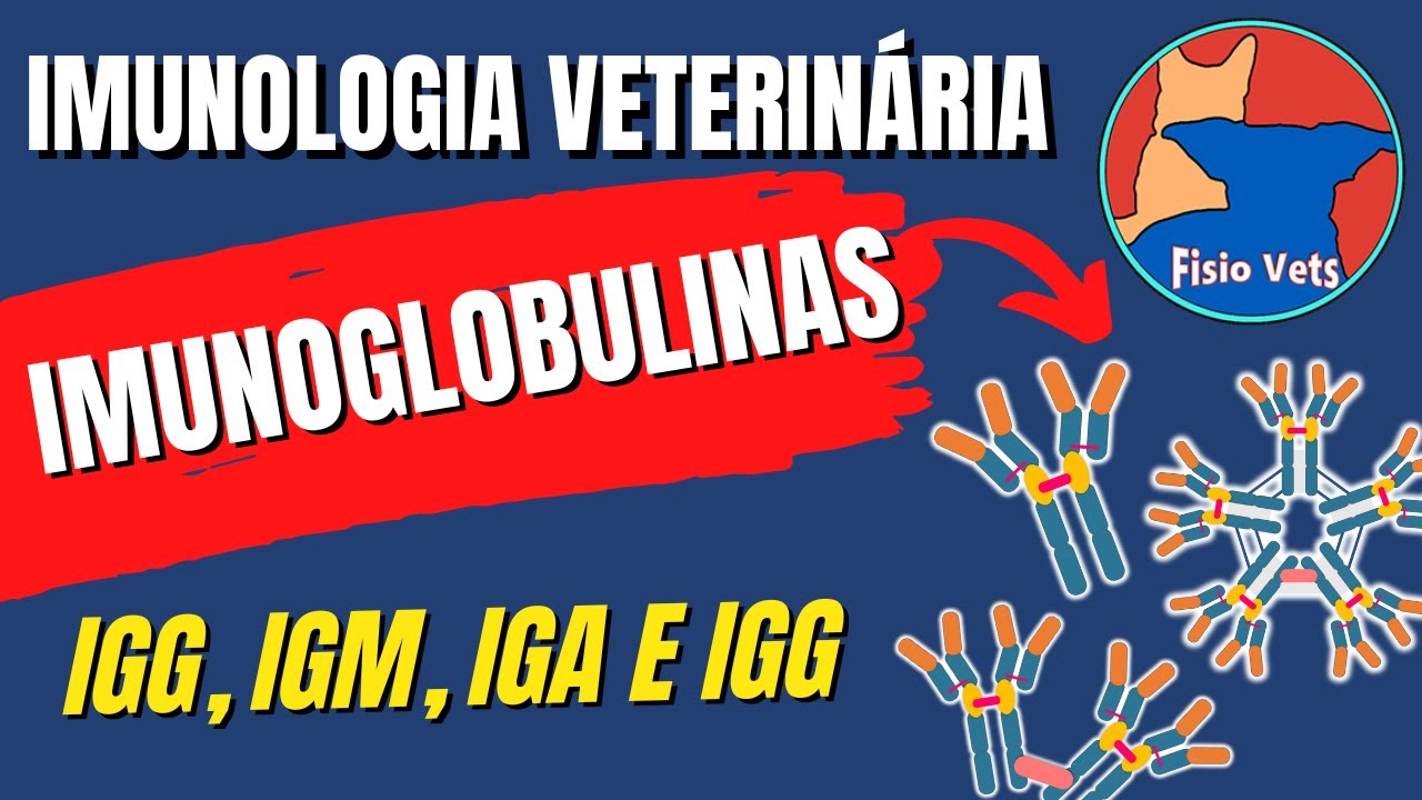 Imunoglobulinas (anticorpos) igG igM igA e igE - Estrutura e Função - Imunologia veterinária