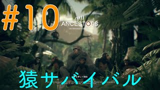 #10【アンセスターズ】サバンナを目指す前にやっぱり隕石探す【ゲーム配信#10】【ANCESTORS】【PS4】
