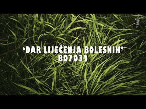 (Marko 16:17) Bertha Dudde 7032 - ‘Dar liječenja bolesnih...’