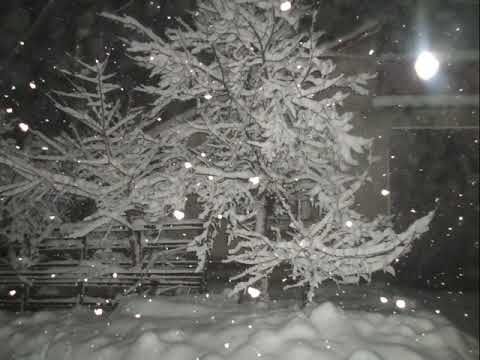 svinita iarna 2019 720x576