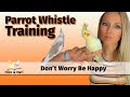Don T Worry Be Happy Parrot Whistle Training