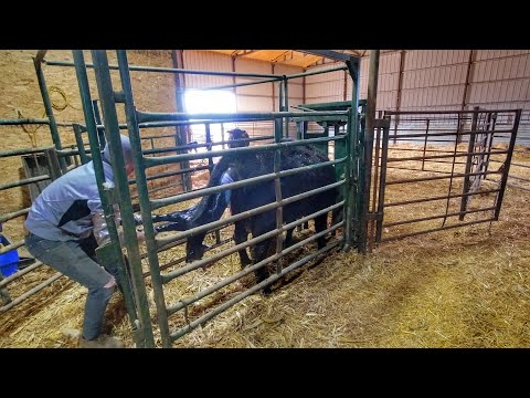 Cause for Celebration!