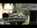 Colorado adventure - 4K UHD Off-Ride - Phantasialand - Vekoma mine train - Cinematic