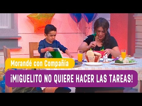 Miguelito no quiere hacer las tareas - Morandé con Compañía 2016