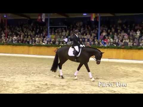 Fürst TOTO (Fürstenball x Totilas x Londonderry)