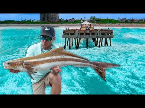 7 Days Catching Every Fish From Legendary Pier