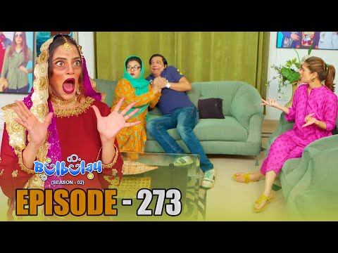 Bulbulay Season 2 Episode 273 | Comedy | Ayesha Omar & Nabeel | Momo | Mehmood Sahab