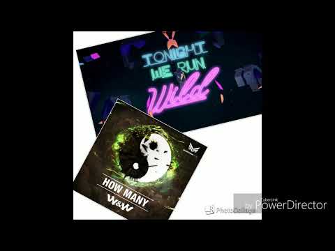 Hardwell ft.Jake Reese,W&W  Run wild VS How many (ZZJ Mashup)