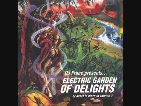 Frane - I Am Dreaming