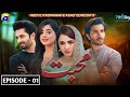 Mohabbat Episode 1 Review | Feroze Khan | Danish Taimoor | Sehar Khan | Yumna Zaidi | Upcoming Drama