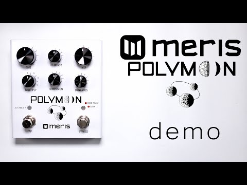 Meris - Polymoon Delay - Demo (Stereo)